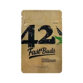 Original Auto Sour Diesel autofem (FastBuds), Америка