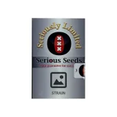 Kali Bubba reg (Serious Seeds), Нидерланды