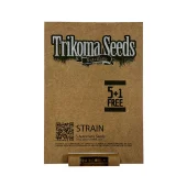 Total Cheese Auto (Super Cheese Auto) autofem (Trikoma Seeds), Испания