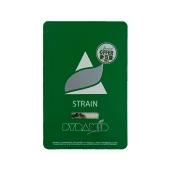 Amnesia Gold fem (Pyramid Seeds), Испания