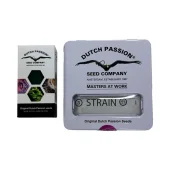 Lemon Z fem (Dutch Passion), Нидерланды