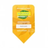 Somango XXL Automatic autofem (Nirvana), Нидерланды