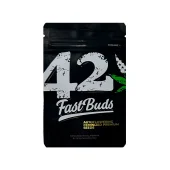 Kosher Cake Auto fem (FastBuds), Америка