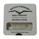 Orange Hill Special fem (Dutch Passion), Нидерланды