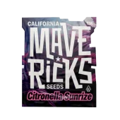 Citronella Sunrize Auto fem (Mavericks Genetics)