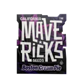 Boston Cream Pie fem (Mavericks Genetics)