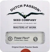Power Plant fem (Dutch Passion), Нидерланды